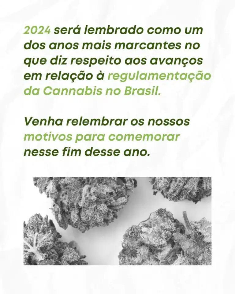 o-ano-da-maconha-2