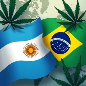 brasil-argentina-e-a-flor-mente-sativa